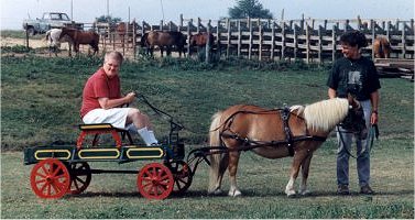 Copper Crest Riding Therapy
                                      Program®
